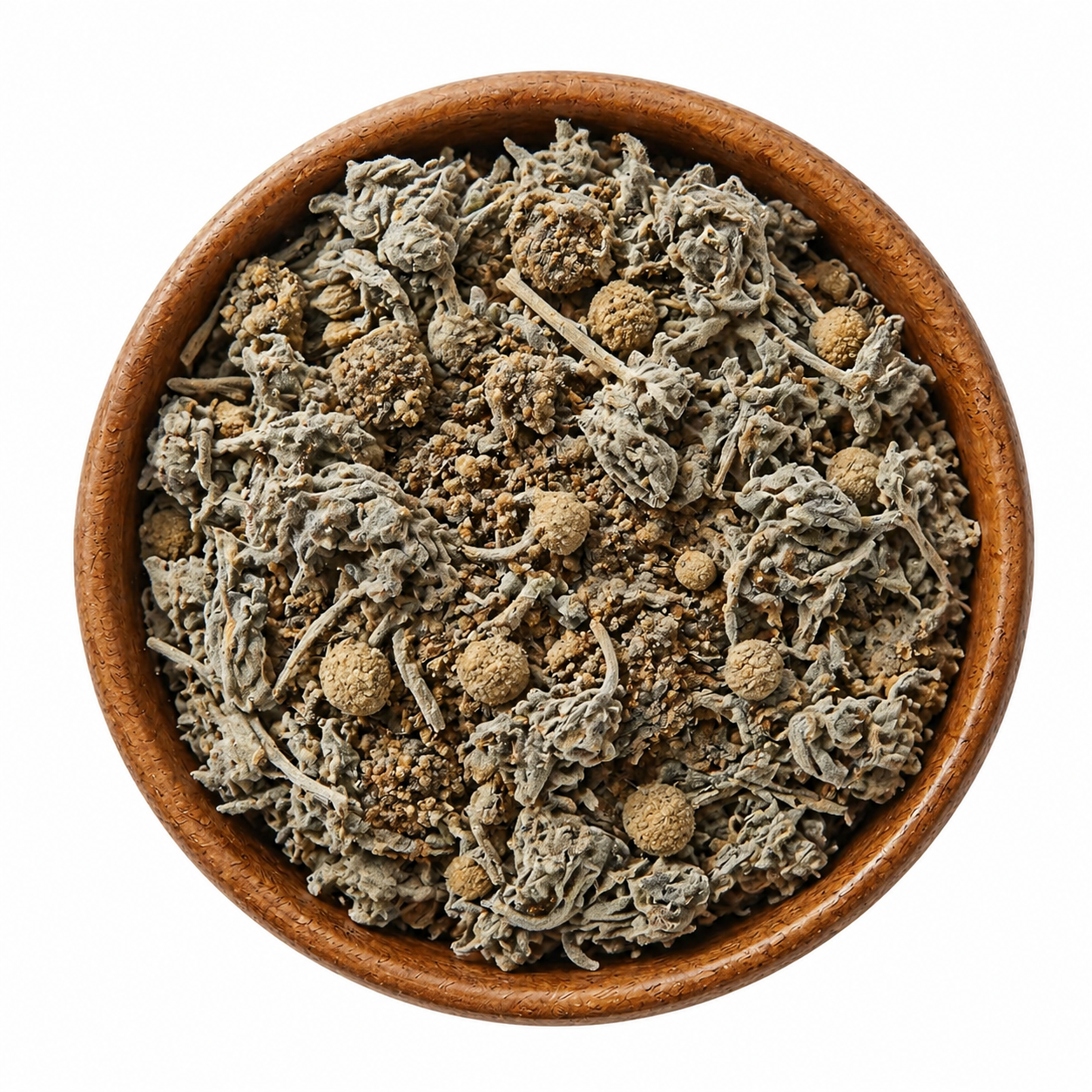 Salvia Bolita